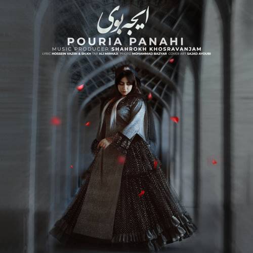 پوریا پناهی ایجه بوی